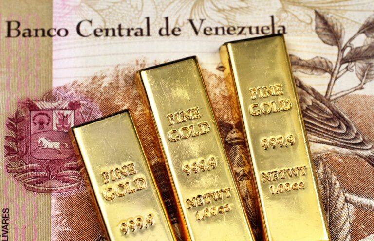 Patrimonio venezolano